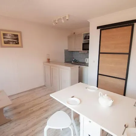 Le Petit Montagnard - Cosy A L'alpe D'huez アパート *