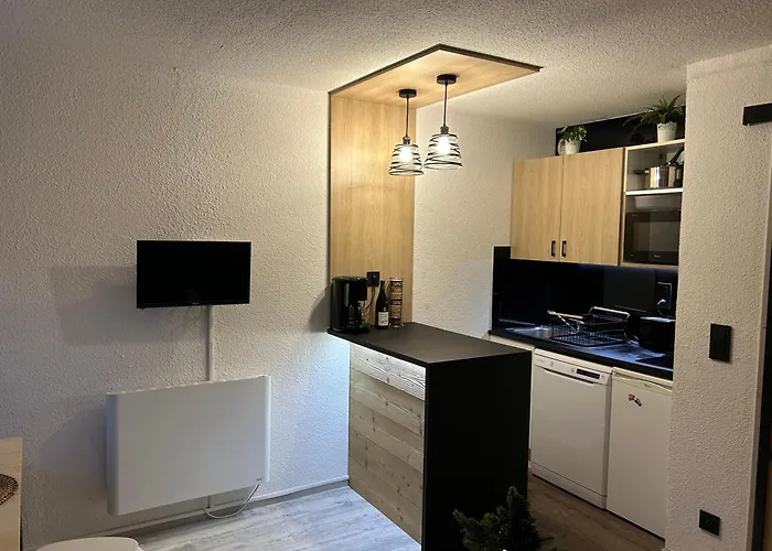 Apartmán Le Petit Montagnard - Cosy A L'alpe D'huez